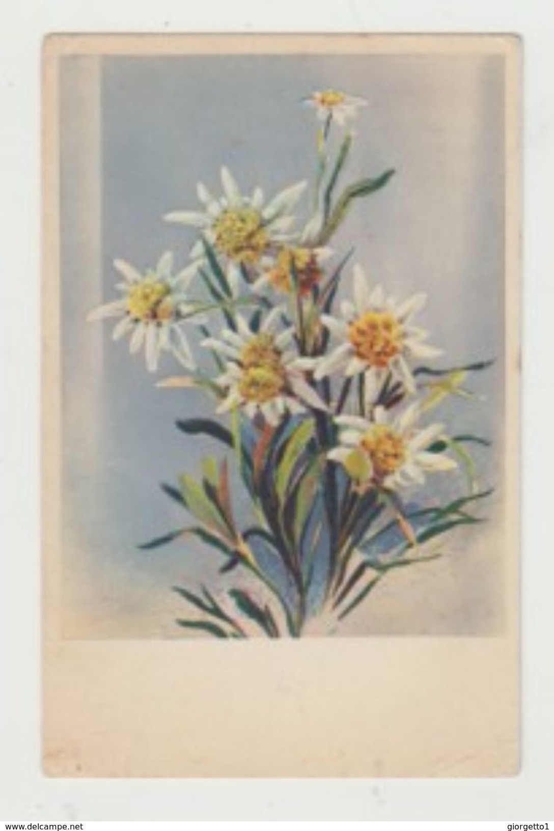 STELLE ALPINE CARTOLINA VIAGGIATA 1939 DA LUBIANA VERSO MILANO - ITALY POSTCARD - Fiori