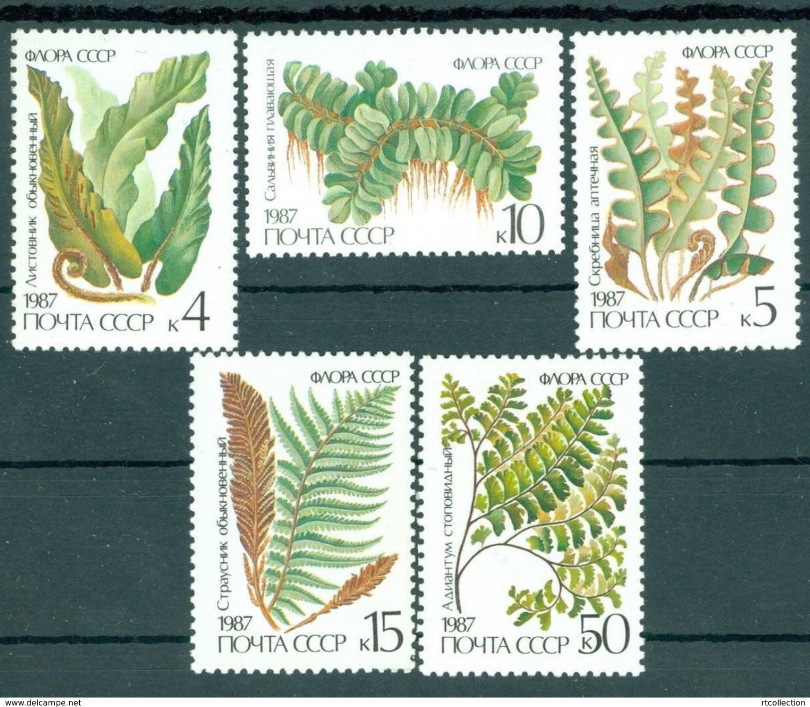 USSR Russia 1987 Plants Ferns Nature Fern Wild Plant Stamps MNH Michel 5729-5733 SG 5773-5777 Sc 5572-5576 - Other & Unclassified