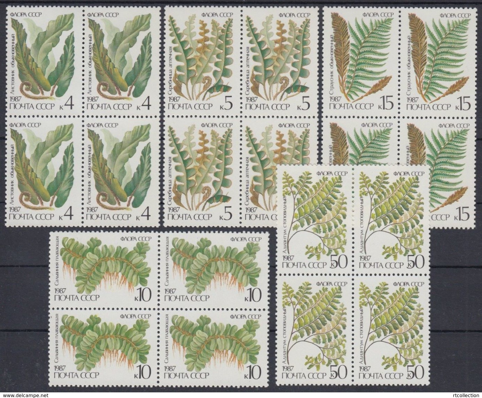 USSR Russia 1987 Block Plants Ferns Nature Fern Wild Plant Stamps MNH Michel 5729-5733 SG 5773-5777 Sc 5572-5576 - Other & Unclassified