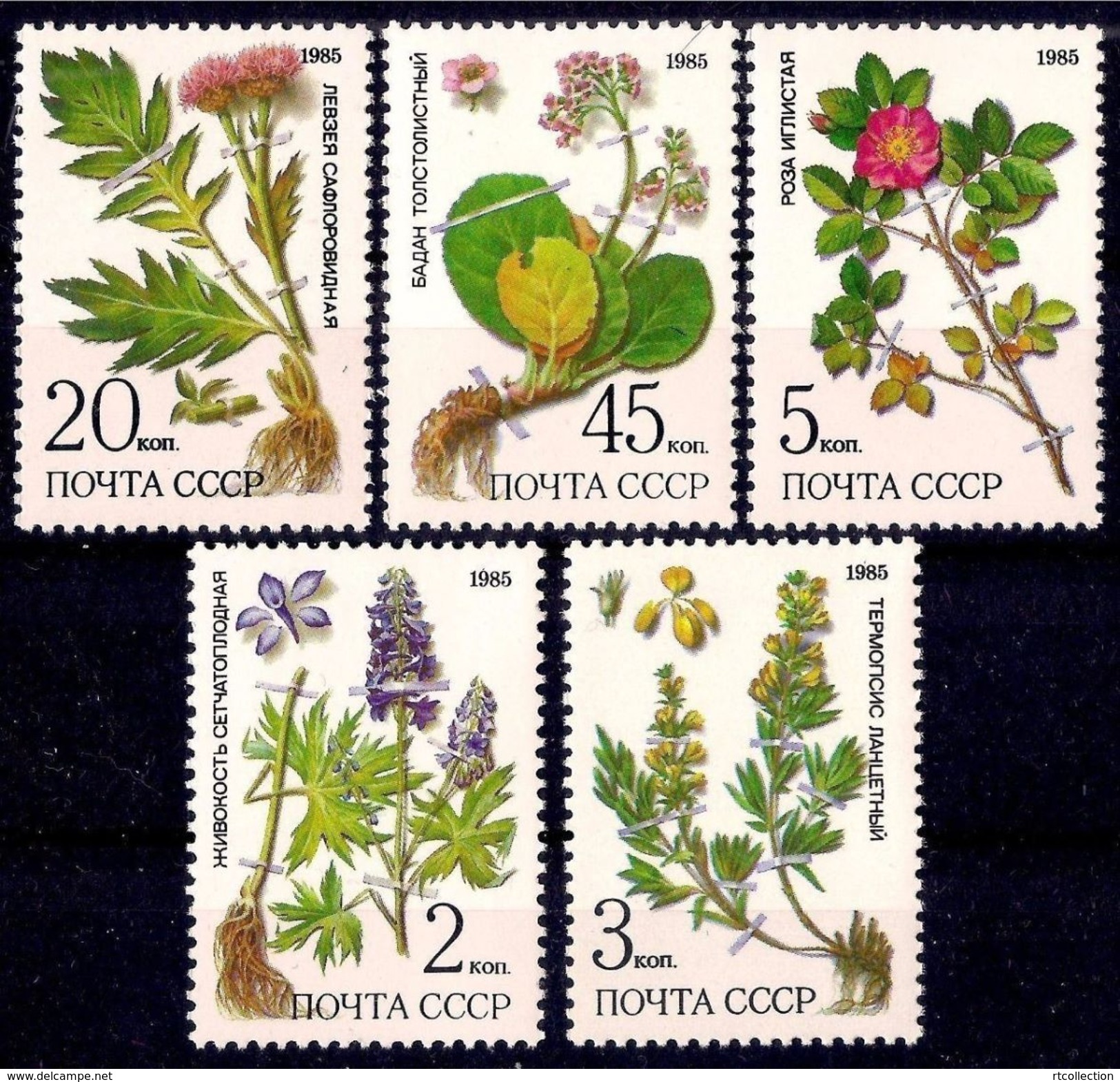 USSR Russia 1985 Protected Plants Siberia Plant Flowers Flower Nature Herbs Health Medical Stamps Michel 5528-5532 - Collections