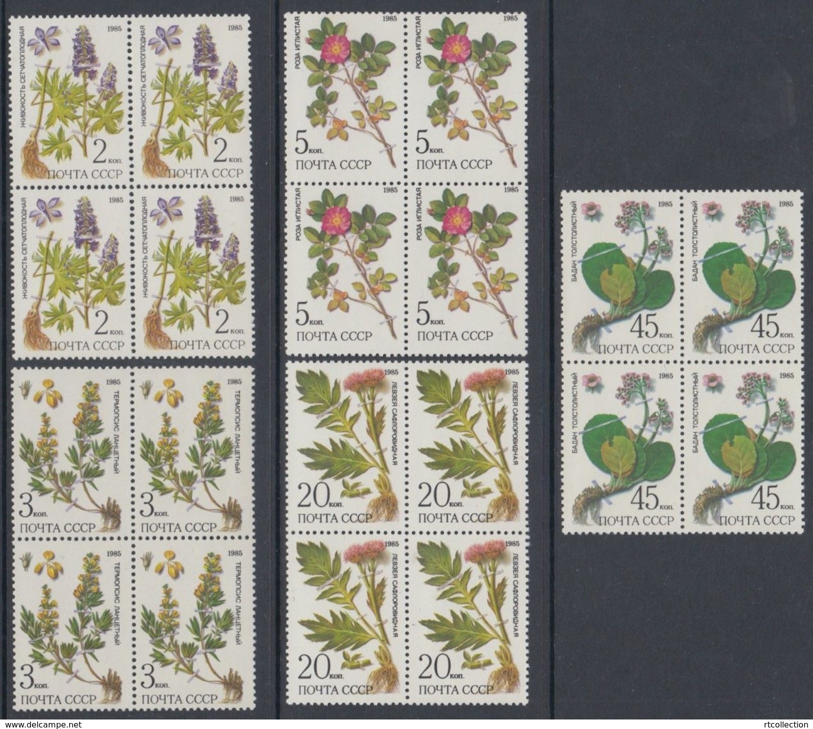 USSR Russia 1985 Block Protected Plants Siberia Plant Flowers Flower Nature Herbs Health Medical Stamps Michel 5528-5532 - Other & Unclassified