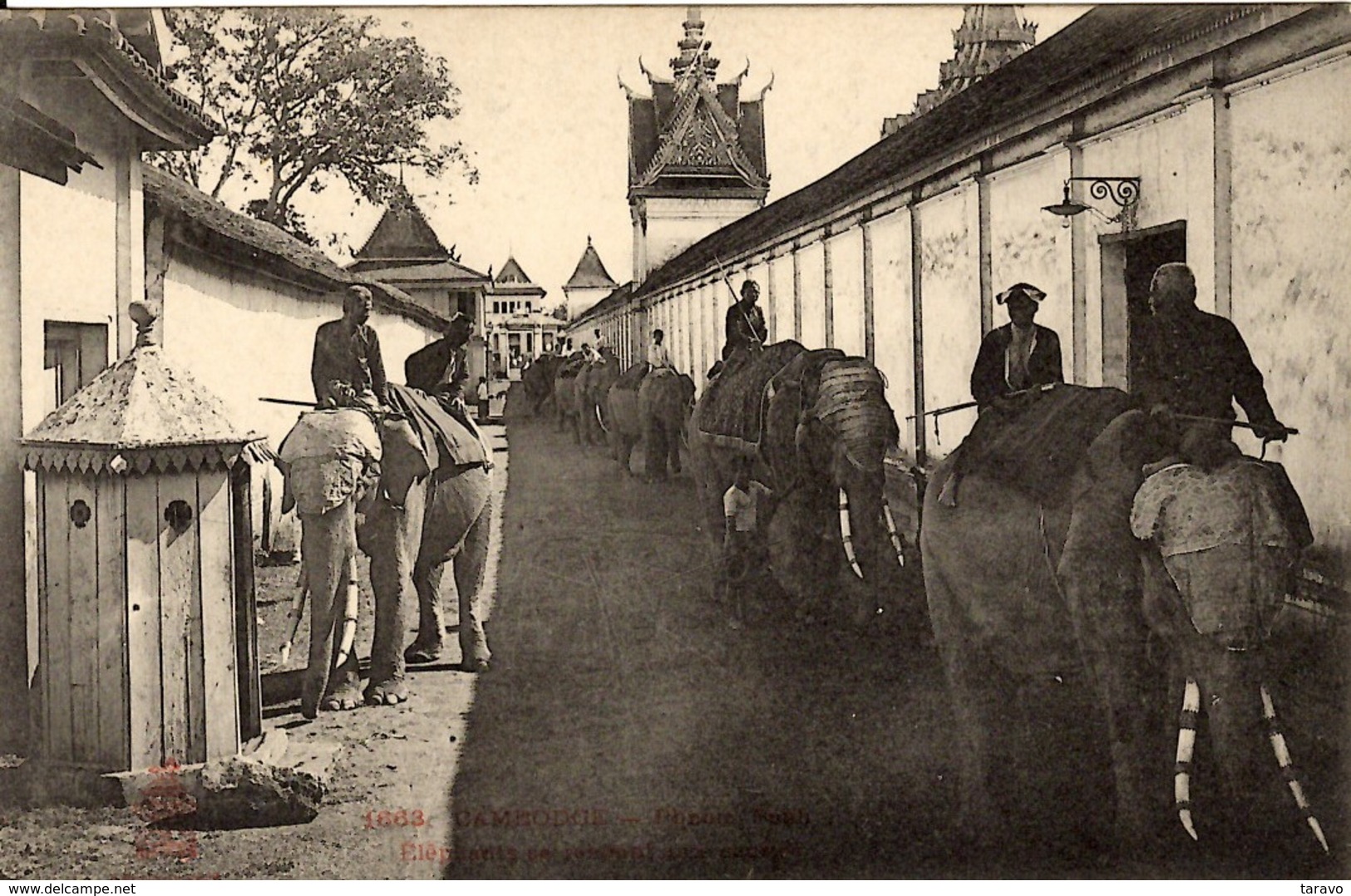 CAMBODGE - - INDOCHINE -  PHOM PENH - Eléphants Rentrant Aux écuries - Dégâts Provoqués Sur Les Fils Télégraphiques 1907 - Cambodge