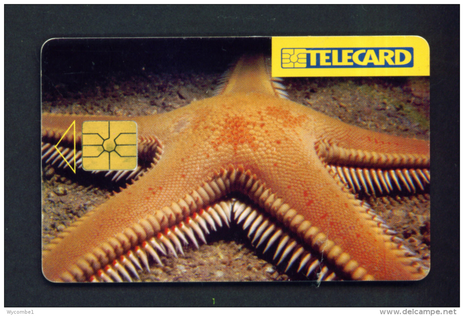CZECH REPUBLIC - Chip Phonecard Starfish  Used - Tschechische Rep.
