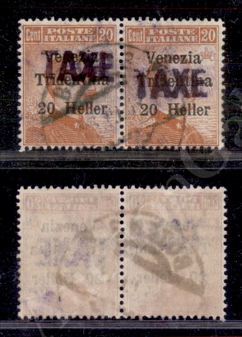 1919 - Coppia 20 Heller TAXE (33B) - (700) - Autres & Non Classés