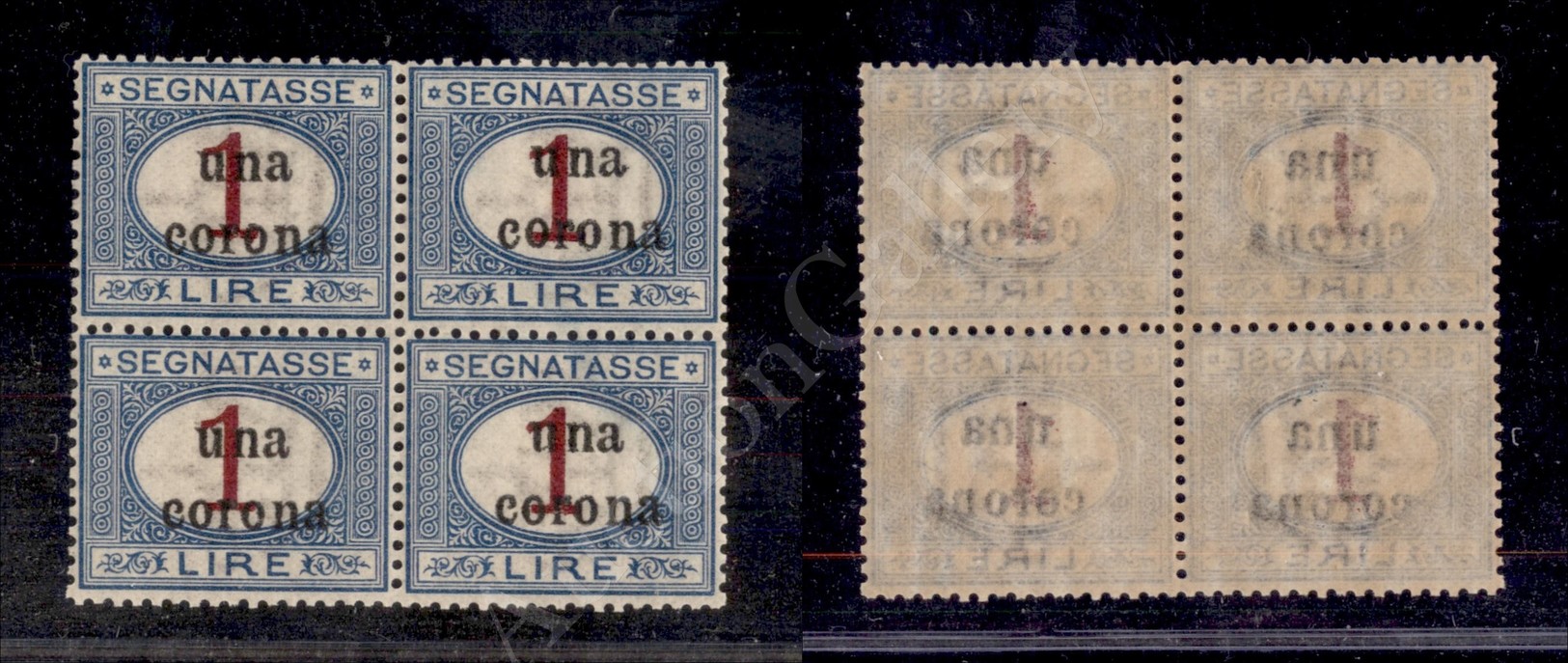 1919 - Quartina Del 1 Corona Su 1l. (7) - Gomma Integra (250+) - Autres & Non Classés