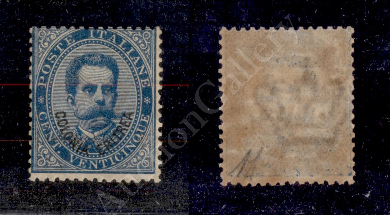 Eritrea 1893 - 25 Cent Azzurro (6) - Gomma Integra- Diena (5.000) - Autres & Non Classés
