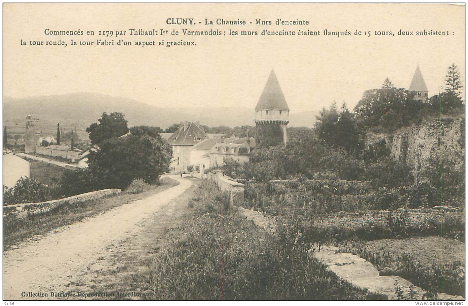 71 - CLUNY - La Chanaise - Murs D'enceinte - Cluny