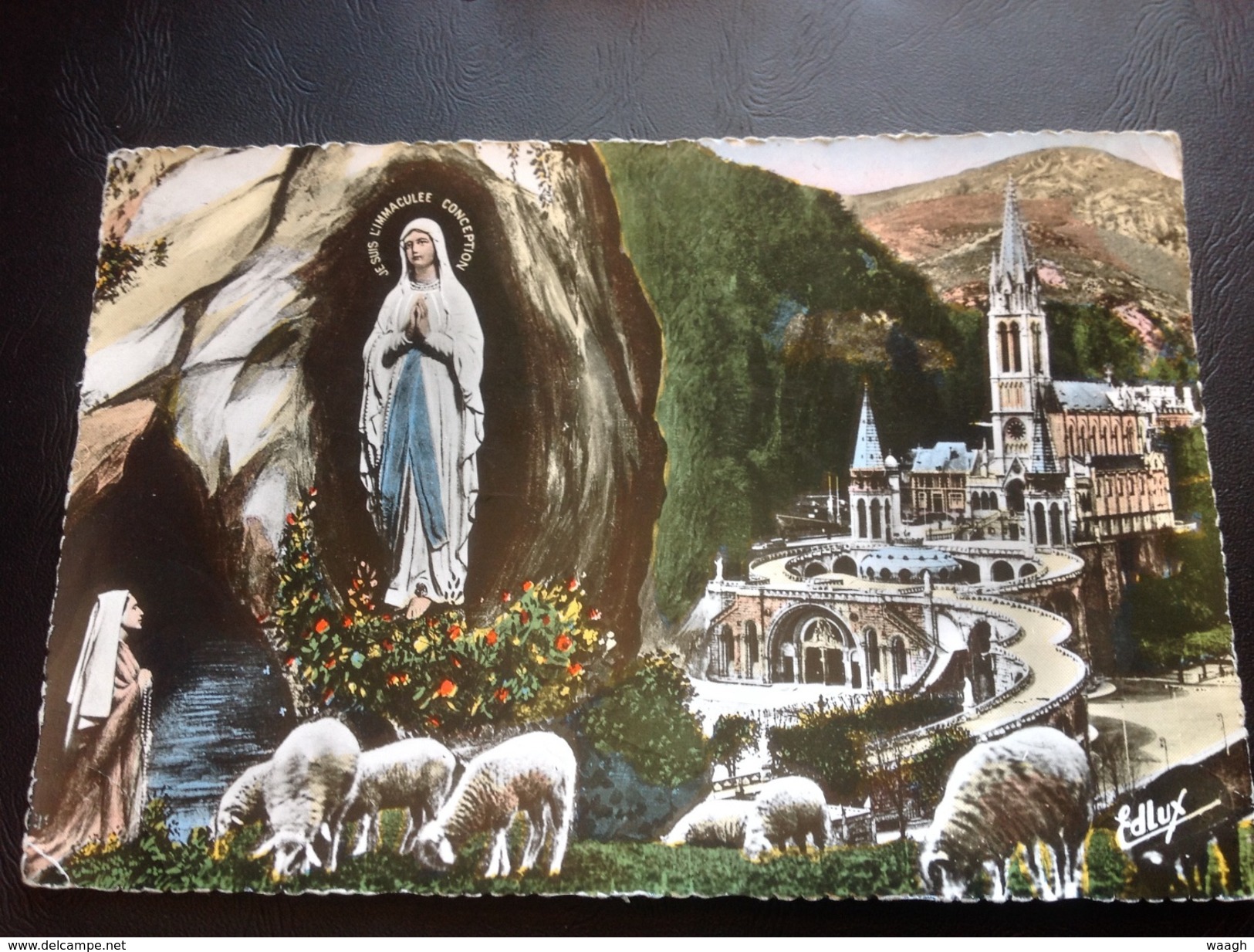 108 - LOURDES La Basilique Et L'Apparition - GRAND FORMAT 21,5cm X 14,5cm - Lourdes