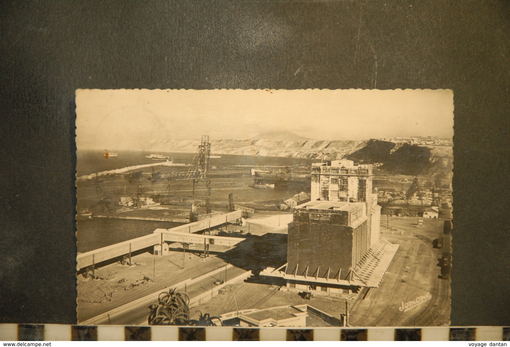 CP, ALGERIE, ORAN, Le Port, Les Silos Et La Baie Sainte Thérèse - Oran