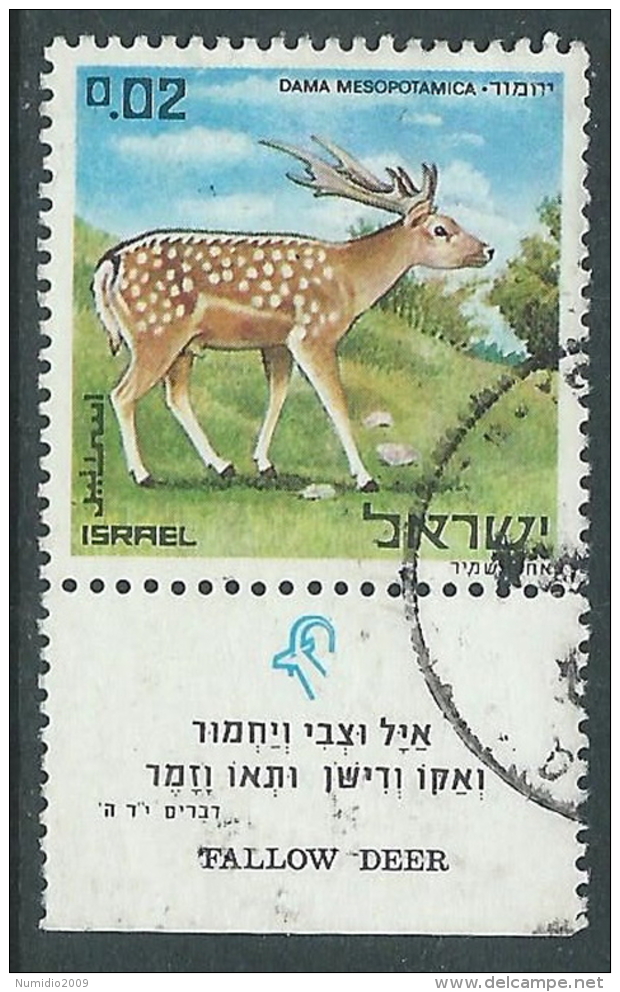 1971 ISRAELE USATO ANIMALI BIBLICI 2 A CON APPENDICE - T18-2 - Usados (con Tab)