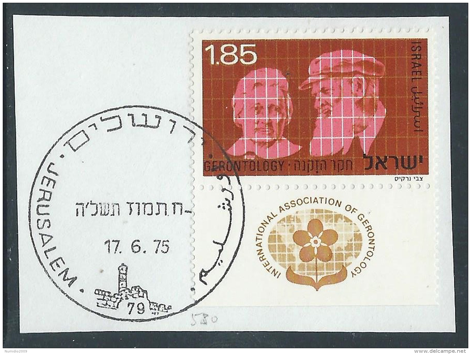 1975 ISRAELE USATO GERONTOLOGIA CON APPENDICE - T17-7 - Usados (con Tab)