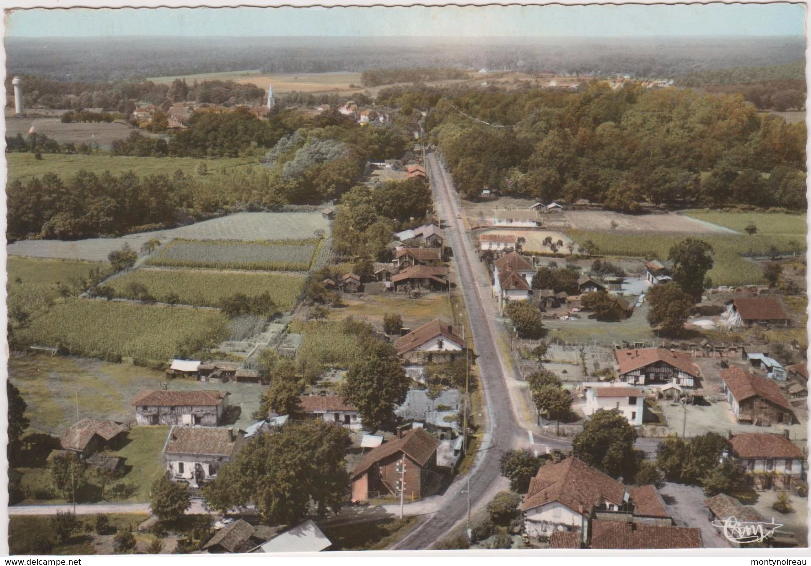 Landes : LABRIT   Vue  Aérienne   1972 - Labrit