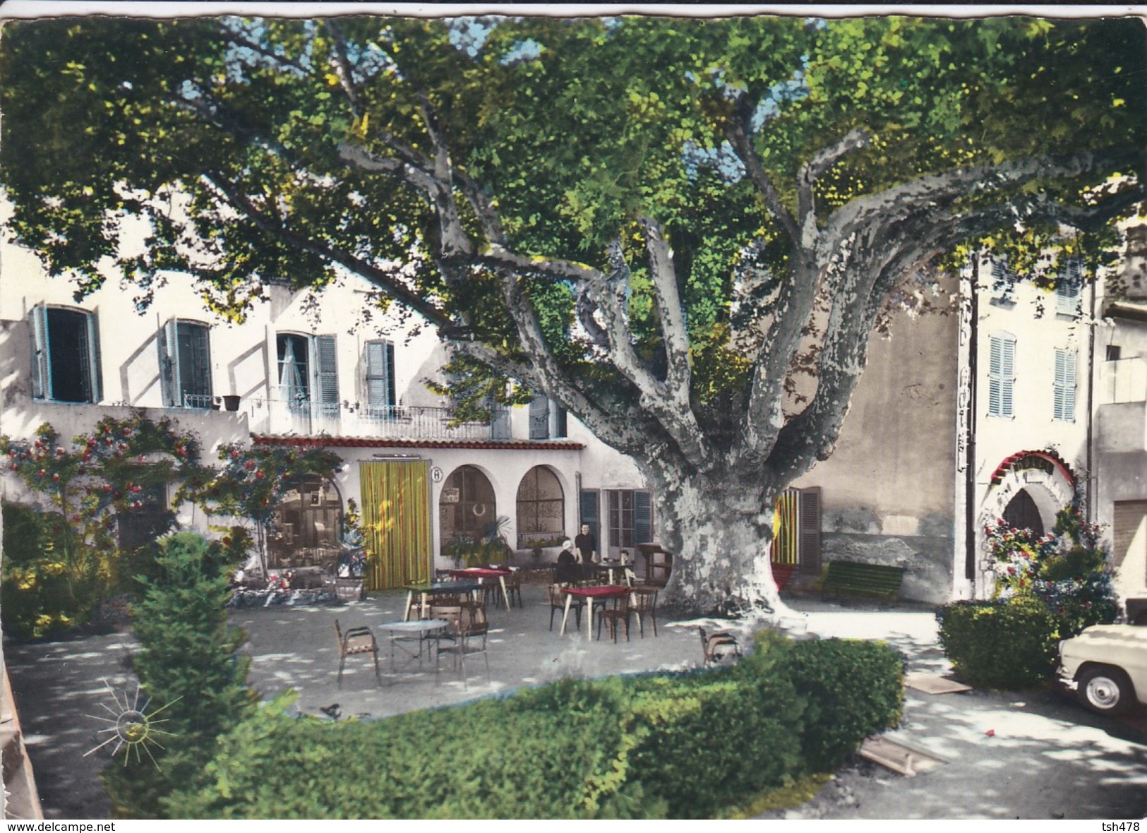 83---AUPS---le Grand Hôtel Du Cours Et Son Platane Géant--voir 2 Scans - Aups