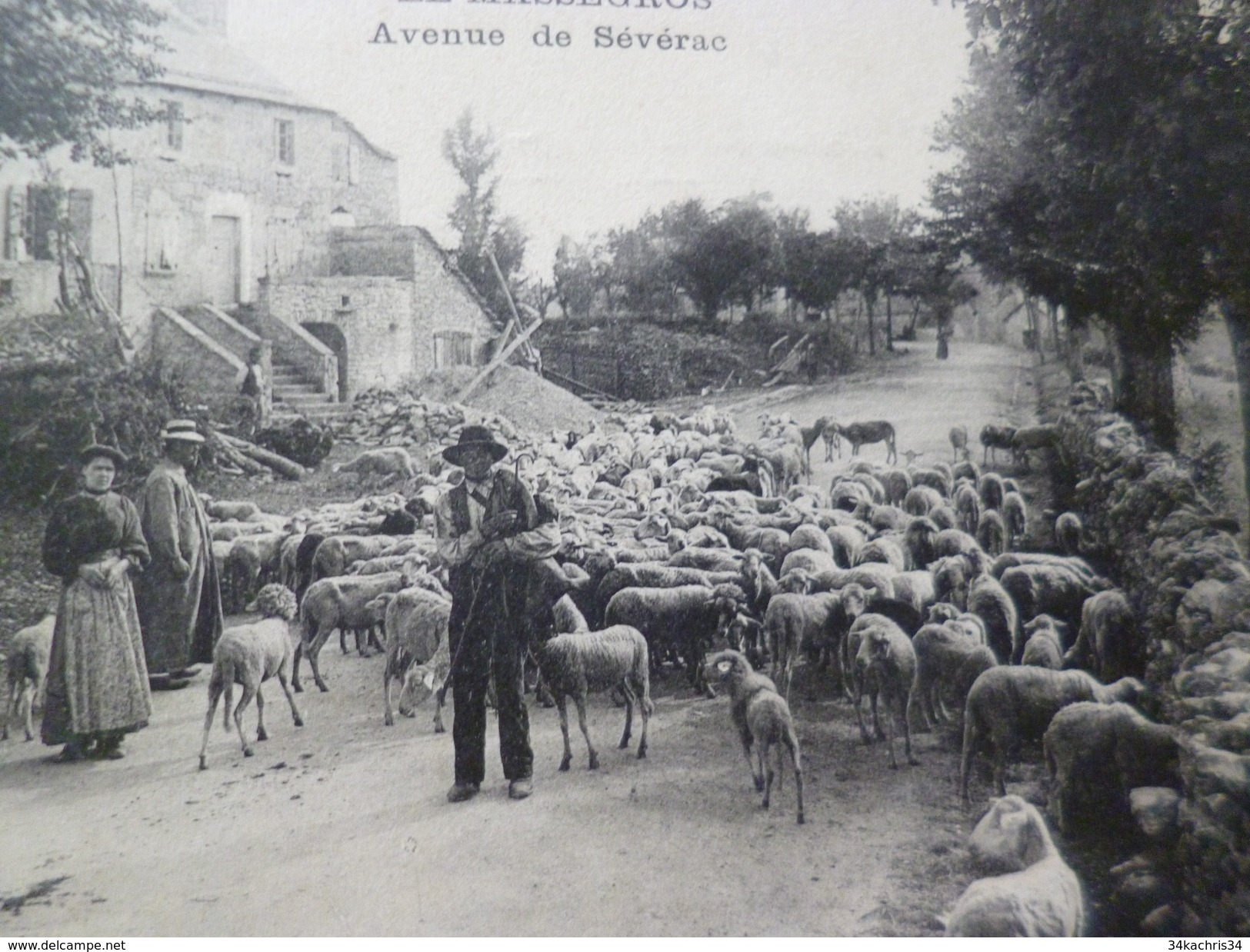 CPA 48 Lozère Le Massegros Avenue De Séverac Berger Et Troupeau TBE - Autres & Non Classés