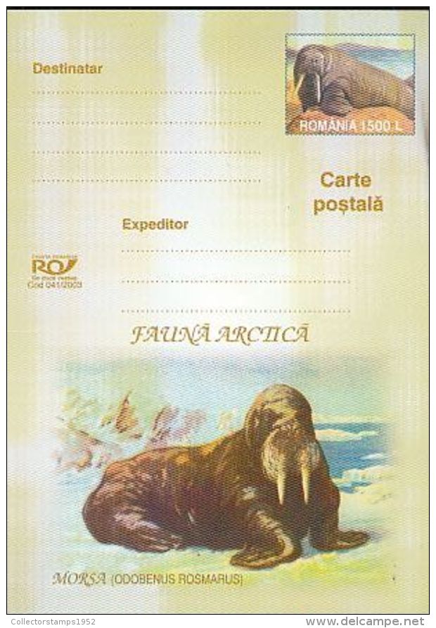 64739- WALRUS, ARCTIC WILDLIFE, POSTCARD STATIONERY, 2003, ROMANIA - Arctic Tierwelt