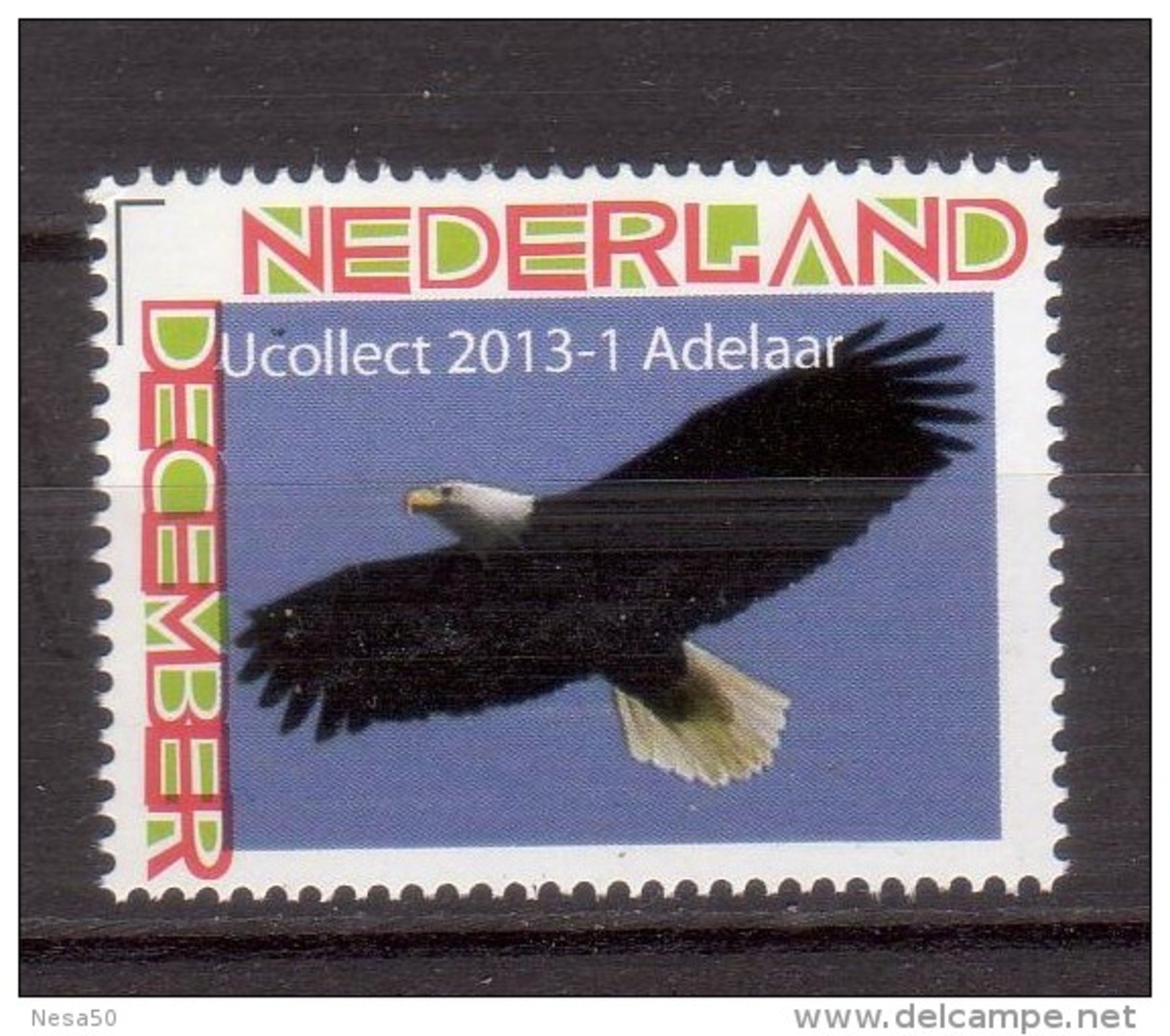 Nederland 2013 Persoonlijke Zegel Birds, Vogel, : Adelaar; Eagle - Ungebraucht