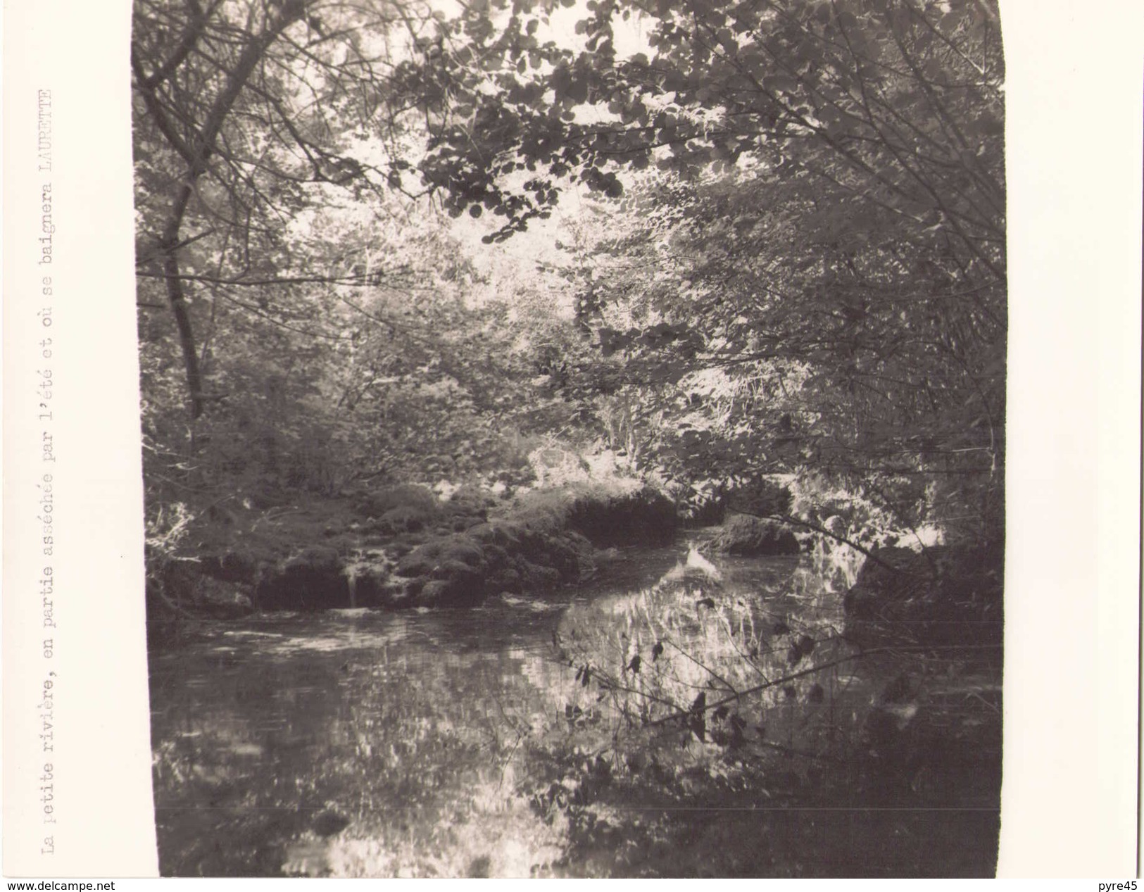 Photo Rivière Non Localisée 24 Cm X 18 Cm - Lieux