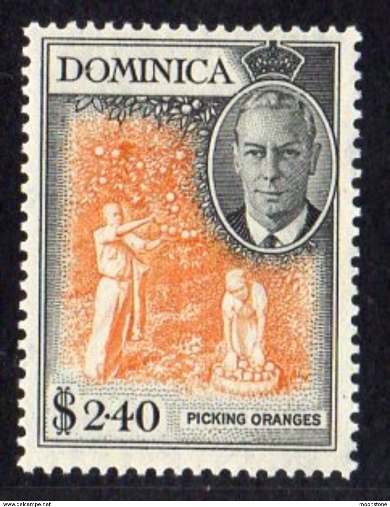 Dominica 1951 $2.40 Picking Oranges Definitive, Hinged Mint, SG 134 - Dominica (...-1978)