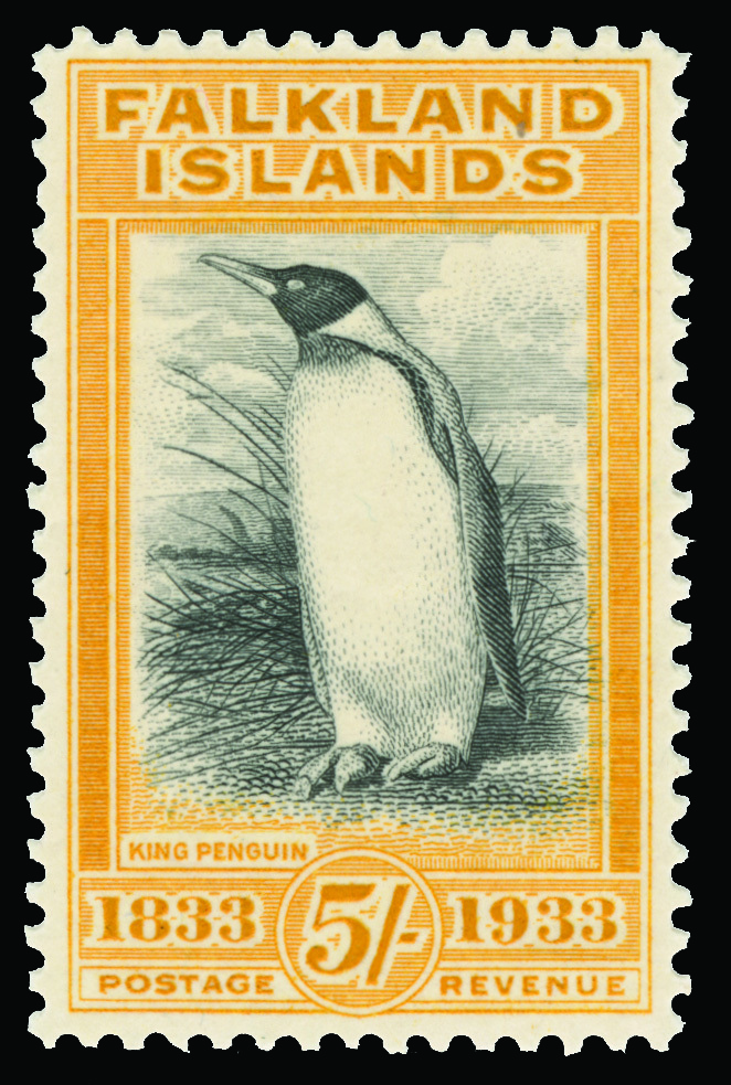 Falkland Islands - Lot No. 569 - Falklandeilanden