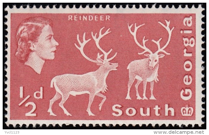 SOUTH GEORGIA - Scott #1 Reindeer / Mint NH Stamp - Other & Unclassified