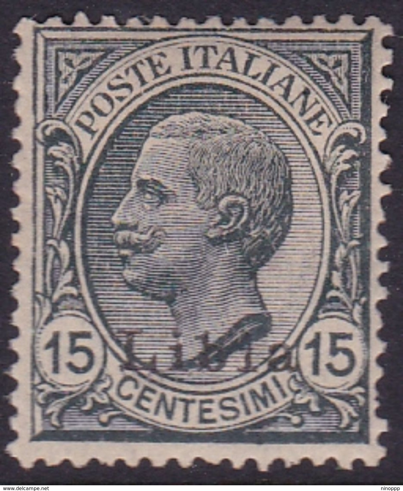 Italy-Colonies And Territories-Libya S 33 1922 ,15c Gray Type 1,mint Hinged - Libya