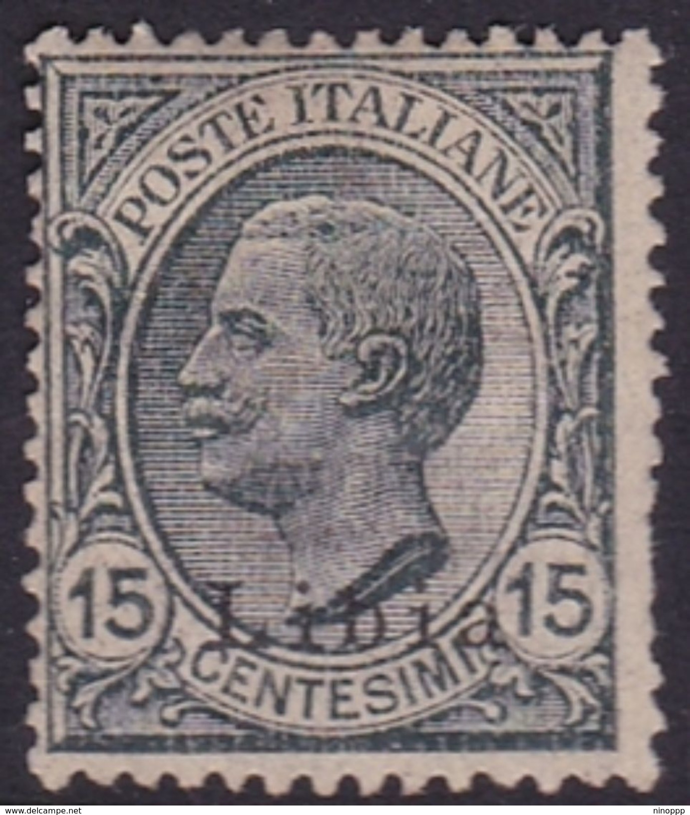 Italy-Colonies And Territories-Libya S 33 1922 ,15c Gray Type 2,mint Hinged - Libya