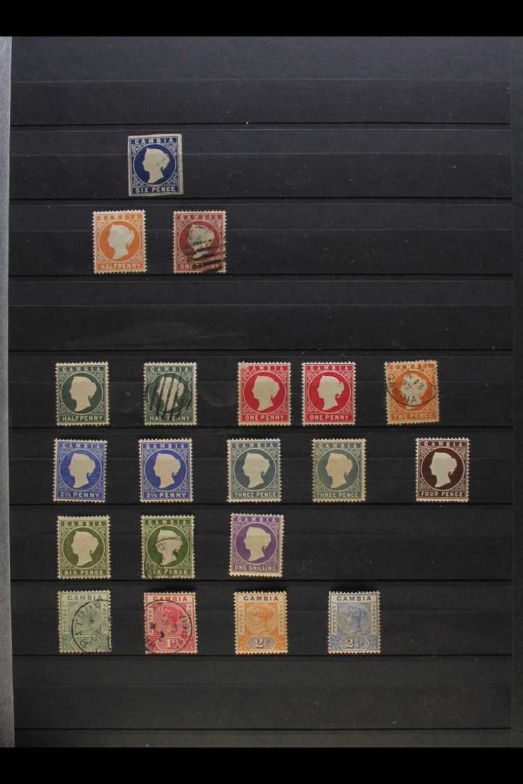 BRITISH WEST AFRICA  QV To 1960's POWERFUL ACCUMULATION In A Large "Lindner" Stockbook. Mint, Never Hinged Mint And Used - Other & Unclassified