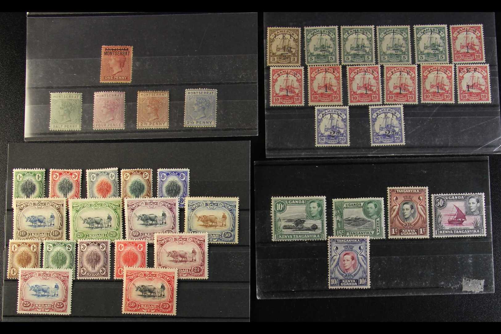 BRITISH COMMONWEALTH  An Interesting All Periods Sorter Carton, Mint & Used Stamps On Pages & In Packets, Inc Press Phot - Other & Unclassified