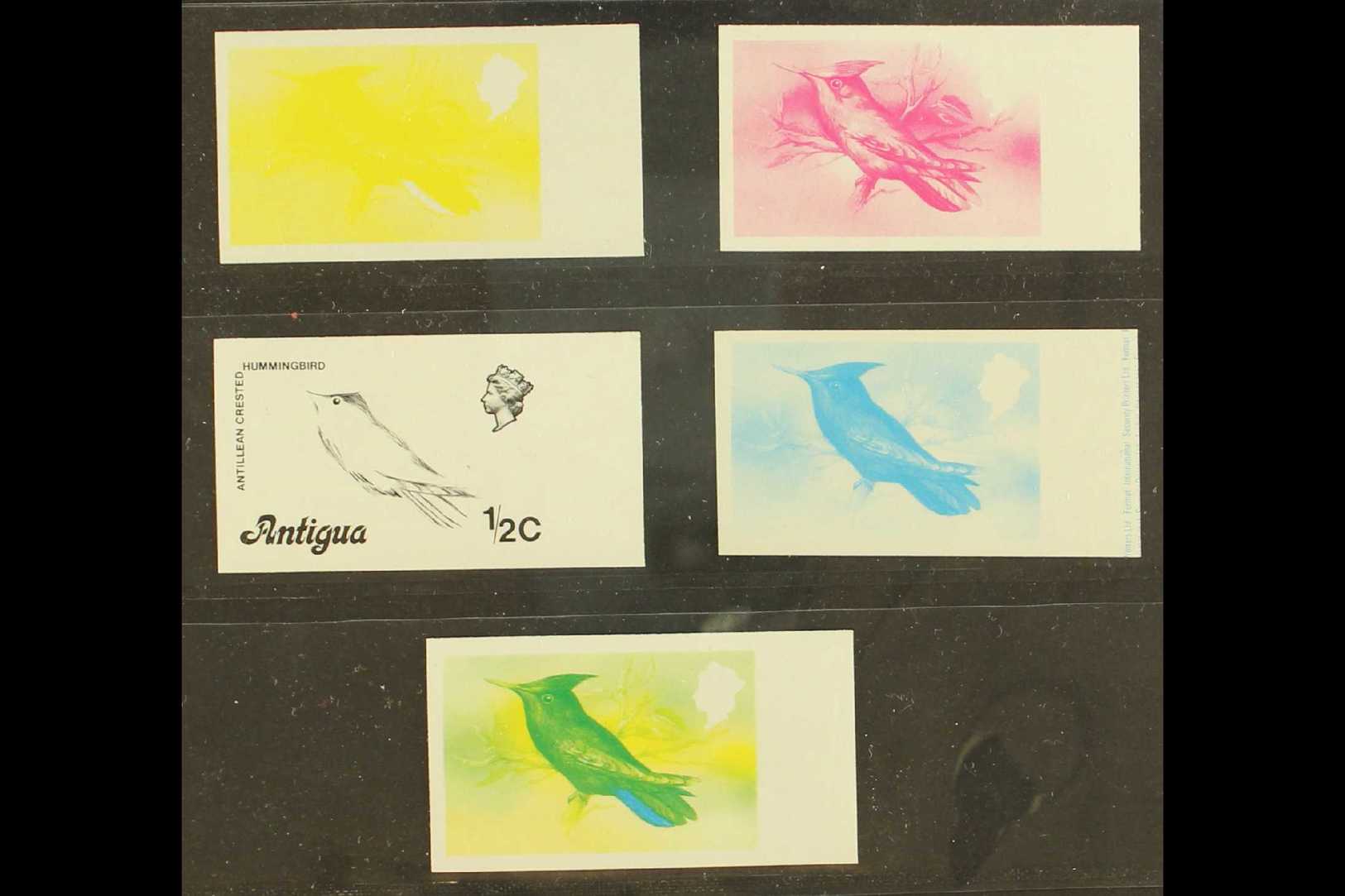 BIRDS  Antigua 1976 ½c Antillean Crested Hummingbird, SG 469A, A Set Of Five Imperf Progressive Proof Colour Trials, Sup - Other & Unclassified