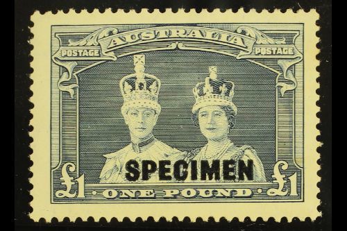 1938  £1 Bluish Slate "Robes" Overprinted "SPECIMEN", SG 178s, Never Hinged Mint. Very Scarce And Desirable. For More Im - Other & Unclassified