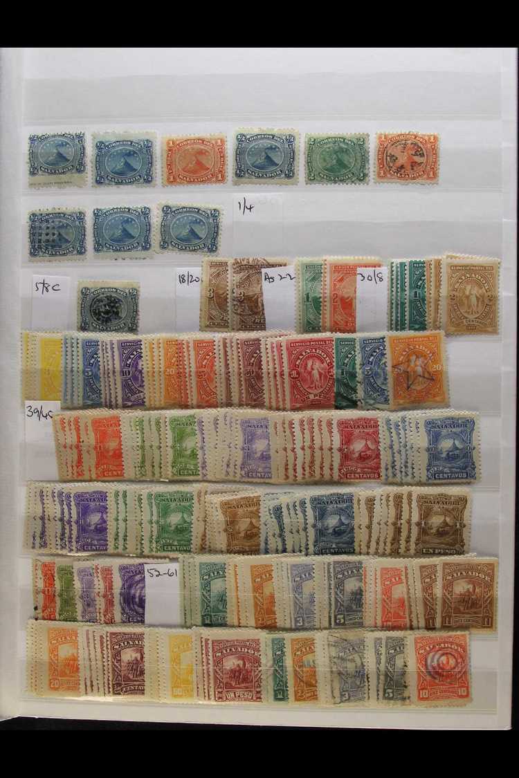 1867-1960's INTERESTING RANGES  On Stock Pages, Mint & Used Stamps With Light Duplication, Inc 1892 2p & 1896 1c Pairs V - Other & Unclassified