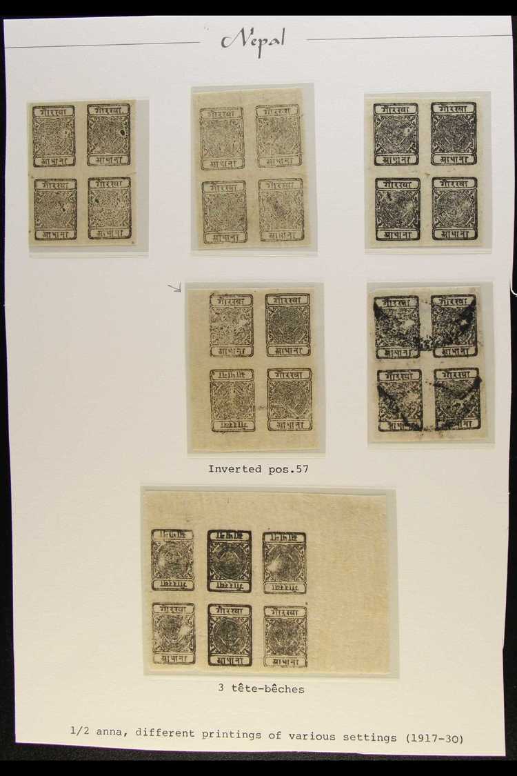 1917-30  ½a Black Imperf (SG 34, Scott 10, Hellrigl 33), Settings 7/14, Group Of Blocks. With Four Unused Blocks Of Four - Other & Unclassified