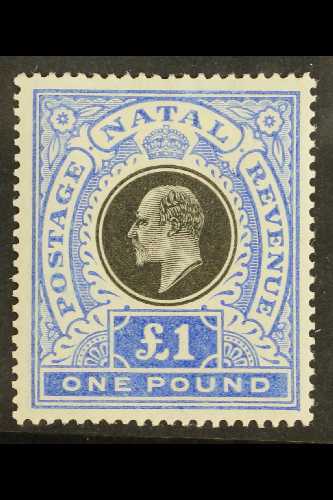 NATAL  1902 £1 Black And Bright Blue, SG 142, Very Fine Mint. For More Images, Please Visit Http://www.sandafayre.com/it - Other & Unclassified