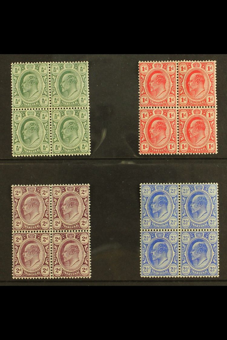 TRANSVAAL  1905-09 KEVII Set, SG 273/76, In Very Fine Mint BLOCKS OF FOUR, Three Stamps In Each Block Never Hinged. (4 B - Other & Unclassified