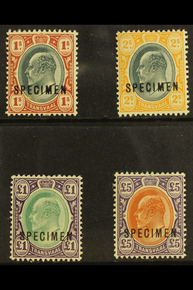 TRANSVAAL  1903 Ed VII Set To £5 Ovptd "Specimen", SG 256s/9s, Very Fine Mint, Large Part Og (4 Stamps) For More Images, - Other & Unclassified