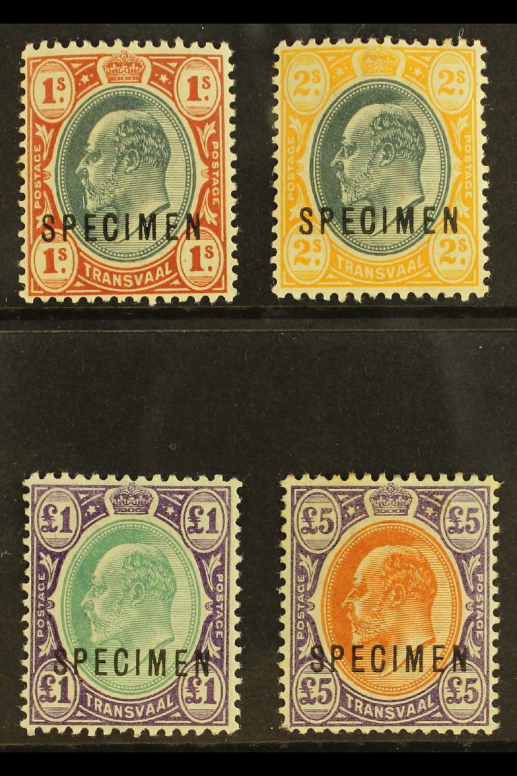 TRANSVAAL  1903 Complete Set With "SPECIMEN" Overprints, SG 256s/59s, Fine Mint, Fresh Colours. (4 Stamps) For More Imag - Other & Unclassified