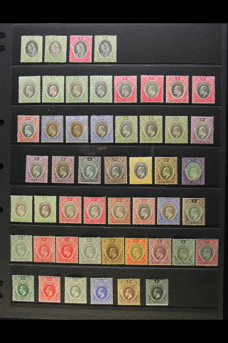 1901-1912 MINT COLLECTION  Includes QV 1901-02 Range To 4d, 1903-04 Set Of All Values With Shades Of Each Value To 6d, 1 - Other & Unclassified