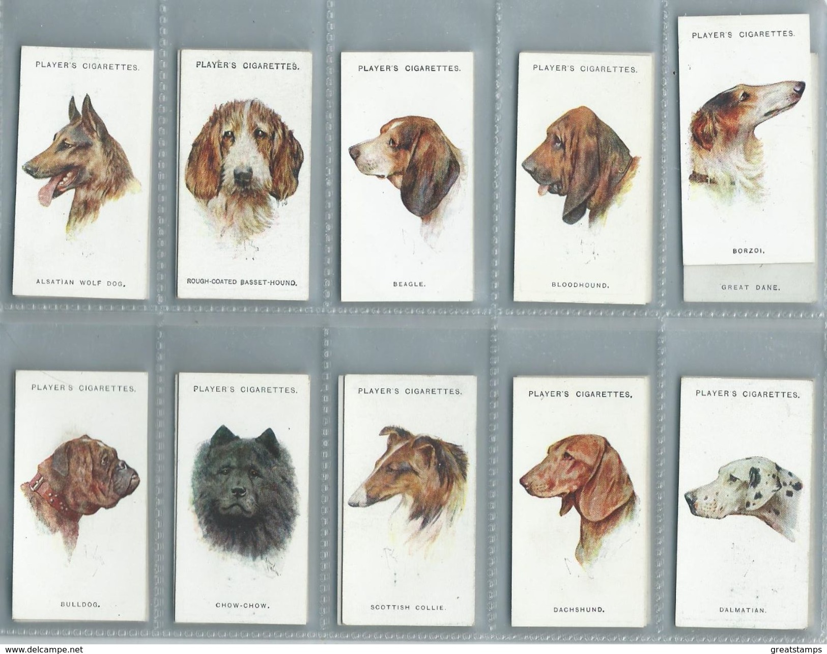 Players Cigarette Cards Dogs  Heads Set Of 50 . 50/50 - Player's