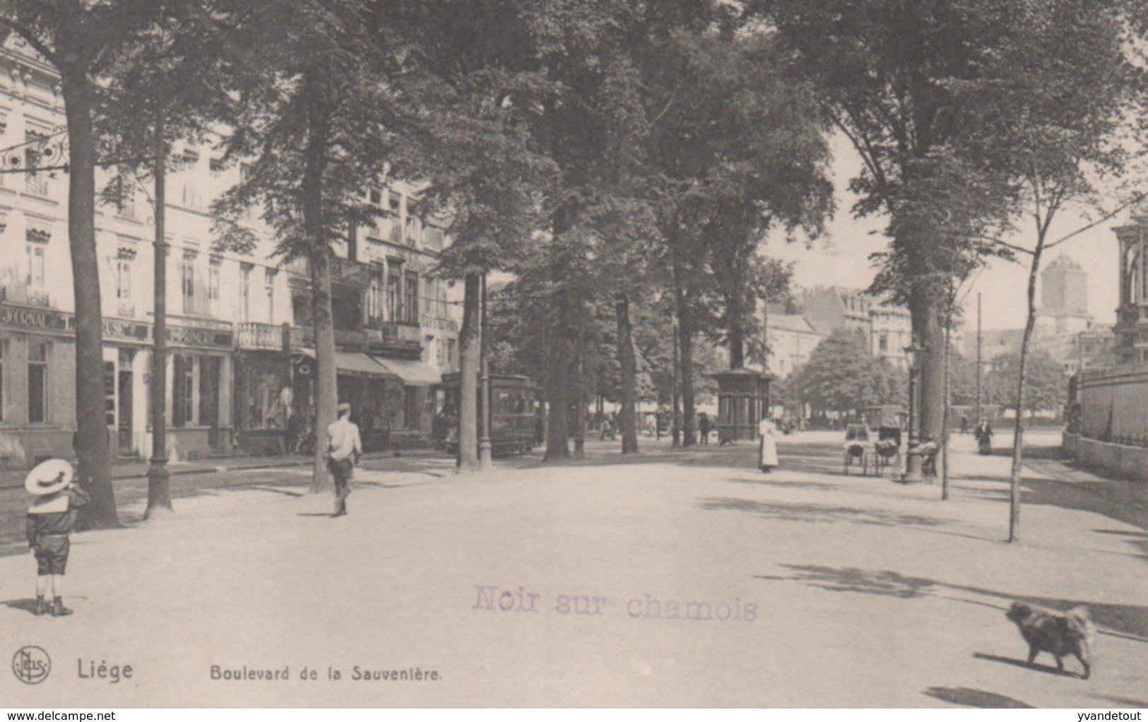 Carte Postale. Liège. Boulevard De La Sauvenière. - Liege