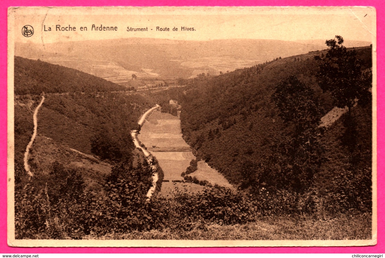 La Roche En Ardenne - Strument - Route De Hives - NELS - 1929 - La-Roche-en-Ardenne