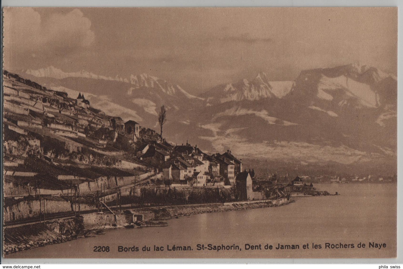 Bords Du La Leman - St. Saphorin, Dent De Jaman Et Les Rochers De Naye - Photo: G. Jaeger - Roche