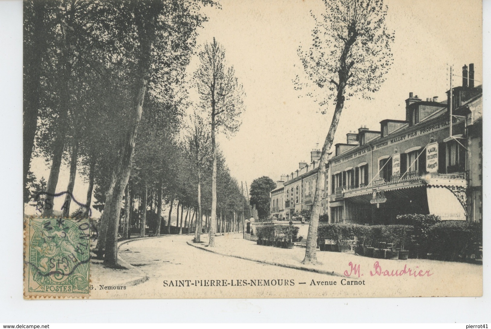 SAINT PIERRE LES NEMOURS - Avenue Carnot - Saint Pierre Les Nemours