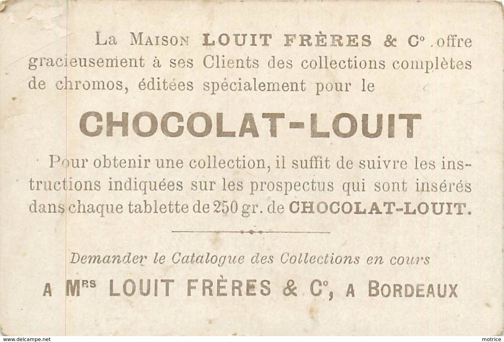 CHROMO CHOCOLAT LOUIT - Lettre Alphabet Z. - Louit