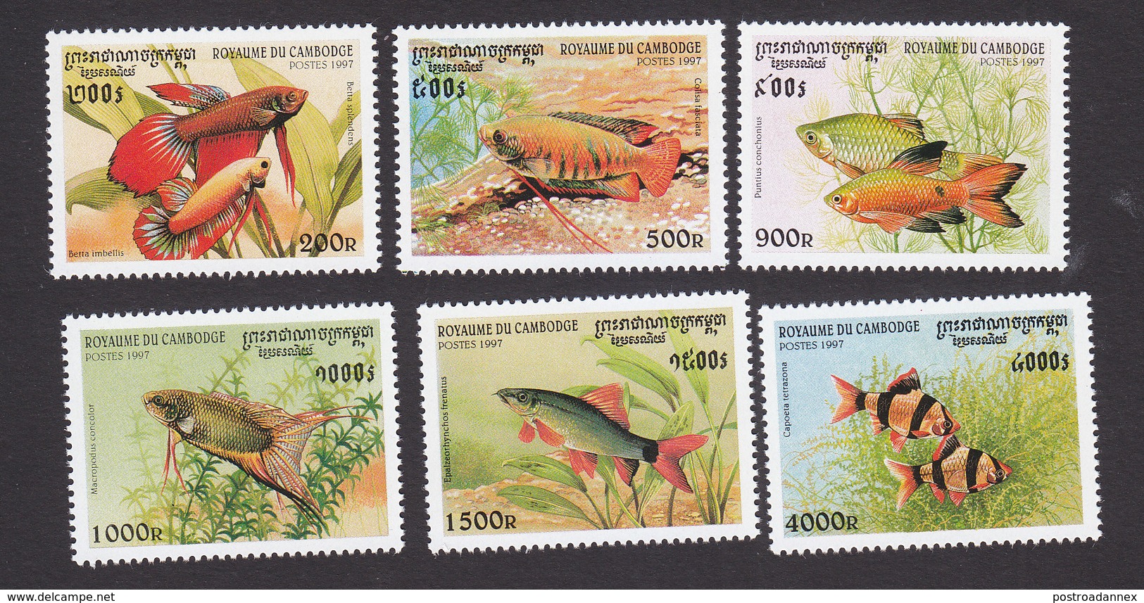 Cambodia, Scott #1669-1674, Mint Hinged, Fish, Issued 1997 - Cambodia