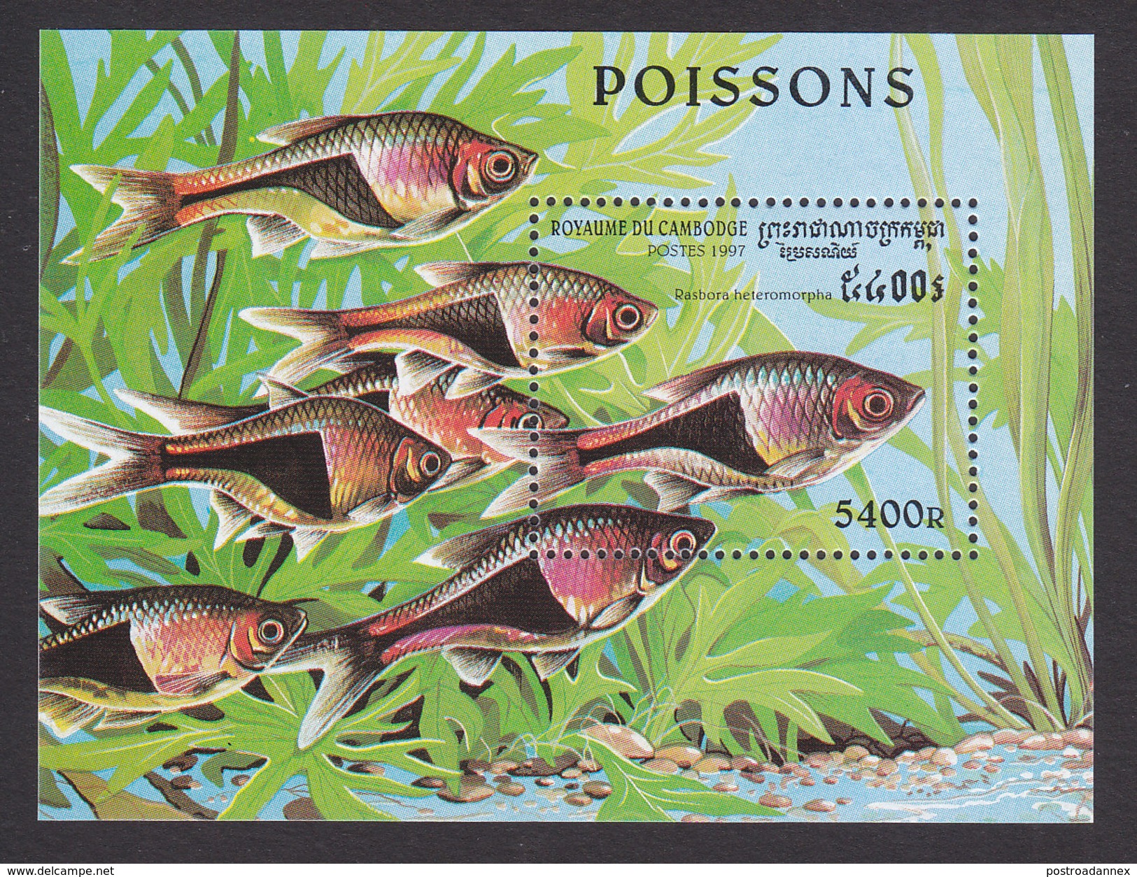 Cambodia, Scott #1675, Mint Hinged, Fish, Issued 1997 - Cambodia