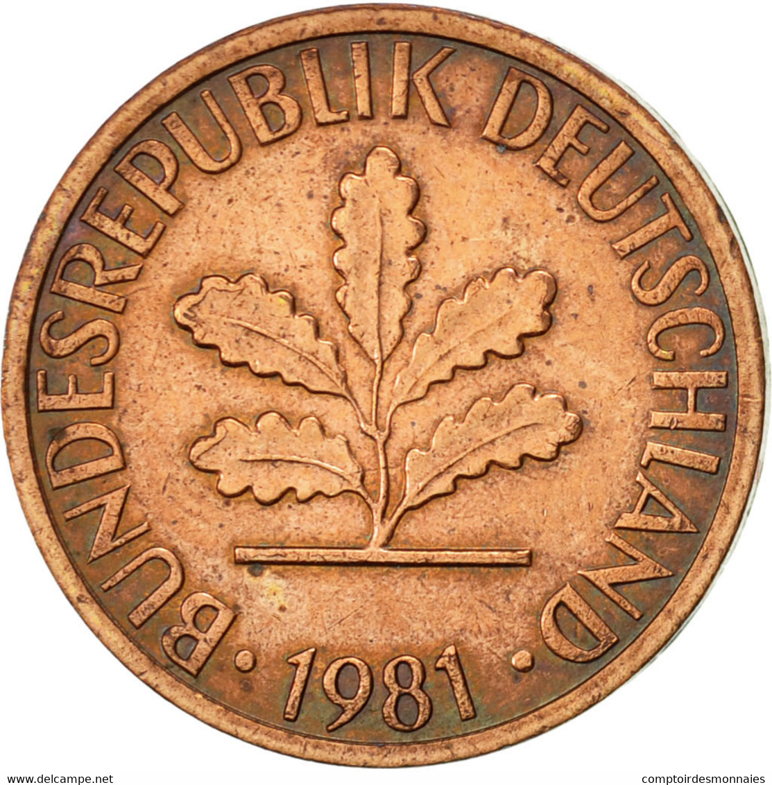 Monnaie, République Fédérale Allemande, Pfennig, 1981, Hambourg, TTB, Copper - 1 Pfennig