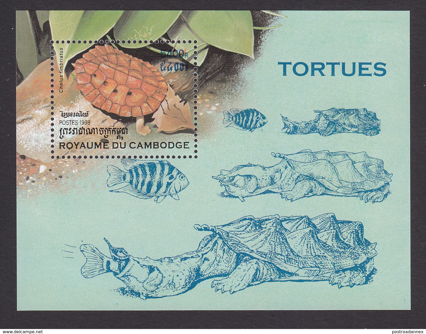 Cambodia, Scott #1771, Mint Hinged, Turtles, Issued 1998 - Cambodia