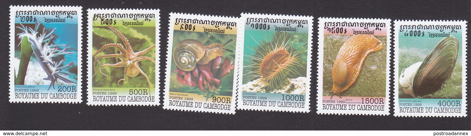 Cambodia, Scott #1839-1844, Mint Hinged, Molluscs, Issued 1999 - Cambodia