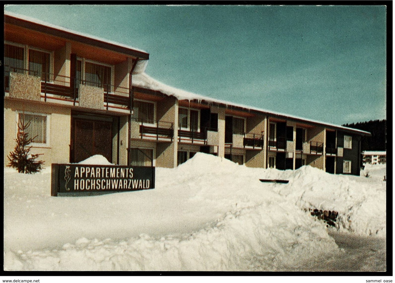 Schluchsee  -  Appartementhaus  "Hochschwarzwald"  -  Ansichtskarte Ca.1970  ( 7409 ) - Schluchsee