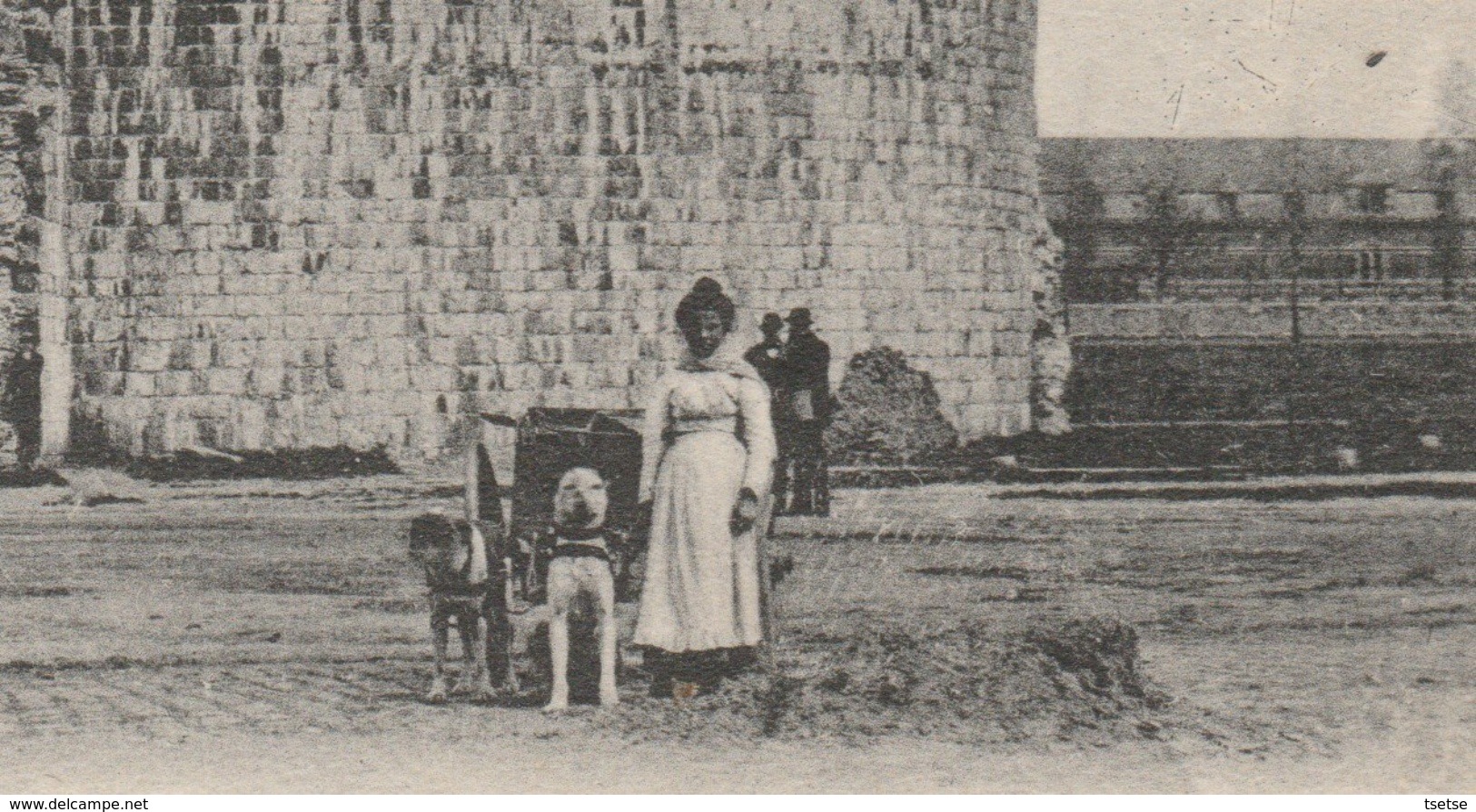 Tournai - La Grosse Tour .... Attelage Canin - 1904 ( Voir Verso ) - Tournai